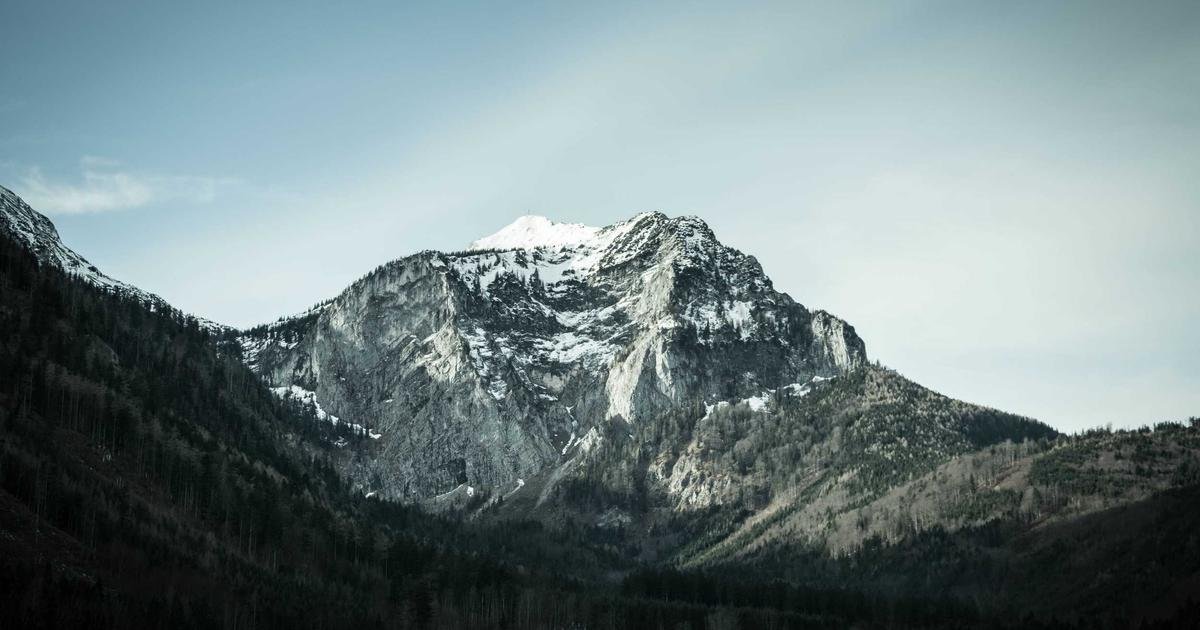 일본 회전초밥 꼼꼼 가이드: 초보자도 프로처럼 즐기는 법