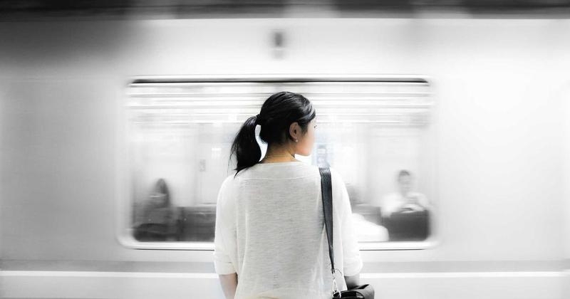 일본 미식 사진