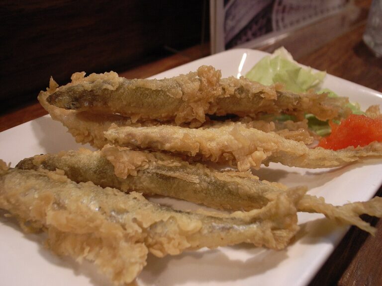 텐푸라 (天ぷら)