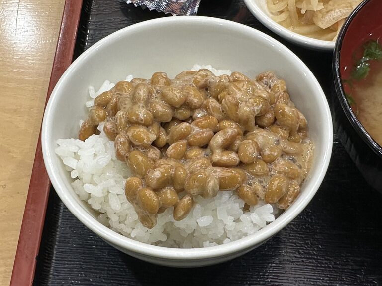 낫토 (納豆)